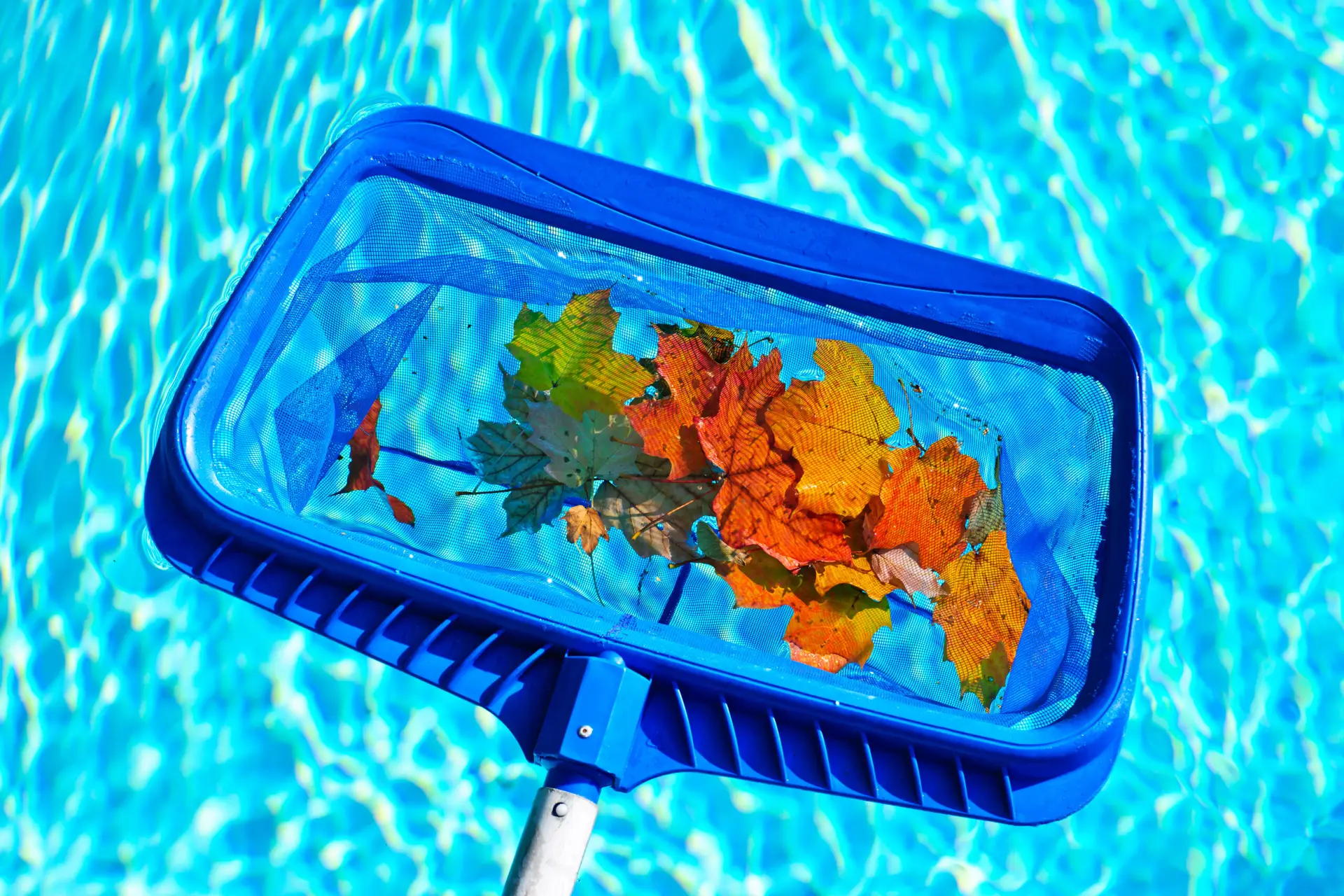 Olympia Pools & Spas